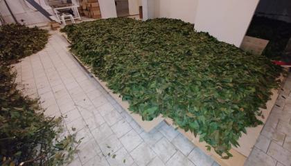 Готовый фасовочно-упаковочный бизнес под ключ Готовый фасовочно-упаковочный бизнес под ключ