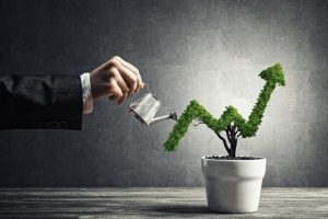Свободные ниши. Куда вложить деньги в 2021 году? Свободные ниши. Куда вложить деньги в 2021 году?